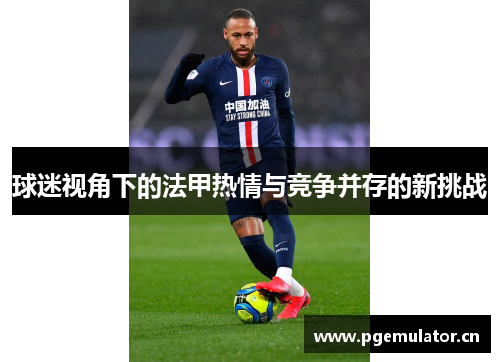 球迷视角下的法甲热情与竞争并存的新挑战
