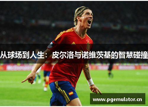 从球场到人生：皮尔洛与诺维茨基的智慧碰撞