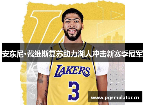 安东尼·戴维斯复苏助力湖人冲击新赛季冠军