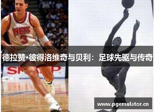 德拉赞·彼得洛维奇与贝利:足球先驱与传奇 德拉赞·彼得洛维奇与贝利:足球先驱与传奇