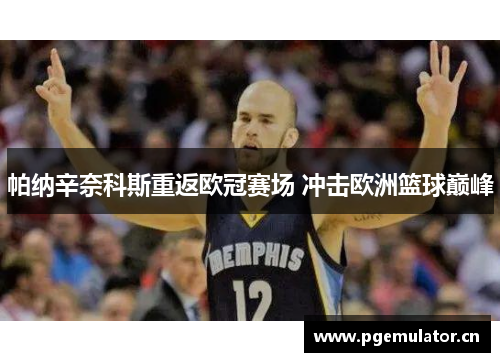 帕纳辛奈科斯重返欧冠赛场 冲击欧洲篮球巅峰 帕纳辛奈科斯重返欧冠赛场 冲击欧洲篮球巅峰