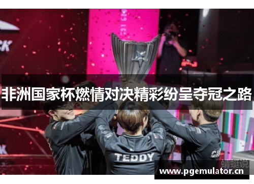 非洲国家杯燃情对决精彩纷呈夺冠之路 非洲国家杯燃情对决精彩纷呈夺冠之路
