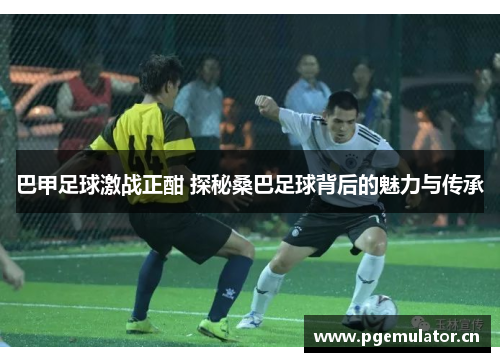 巴甲足球激战正酣 探秘桑巴足球背后的魅力与传承