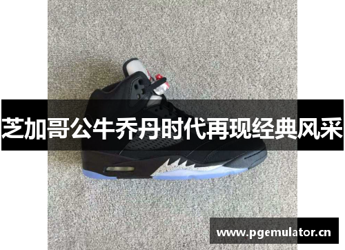 芝加哥公牛乔丹时代再现经典风采 芝加哥公牛乔丹时代再现经典风采