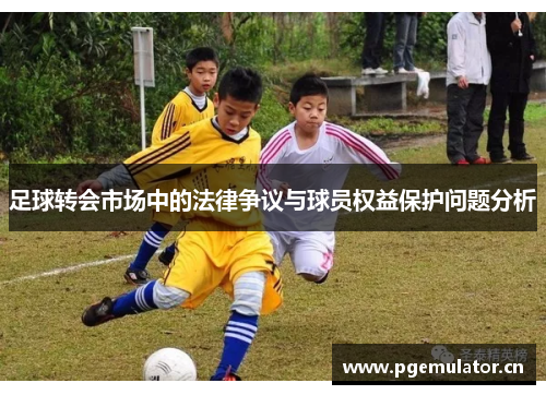足球转会市场中的法律争议与球员权益保护问题分析