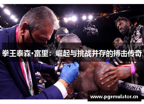 拳王泰森·富里：崛起与挑战并存的搏击传奇